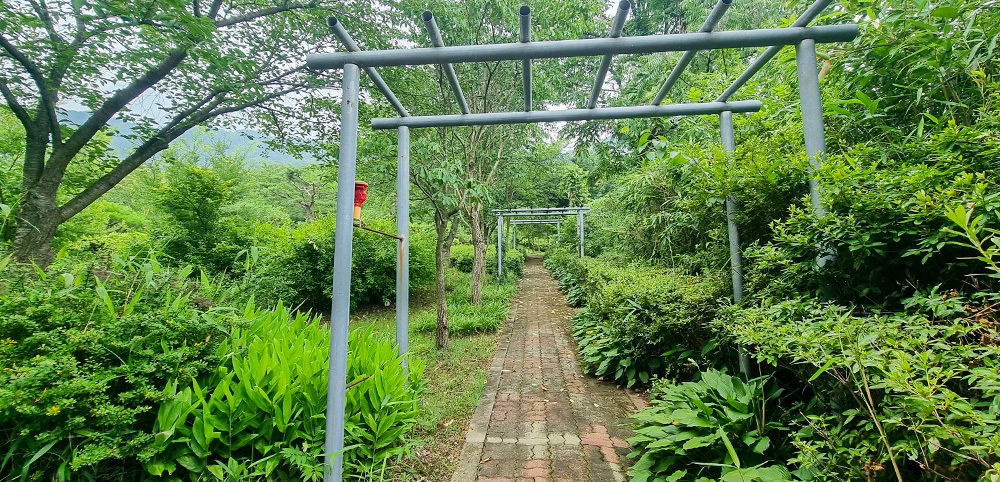 Walking trails|산책로