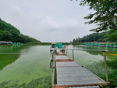 죽림낚시터
