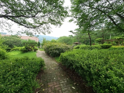 산책로