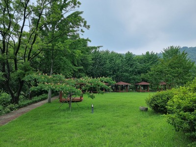 산책로